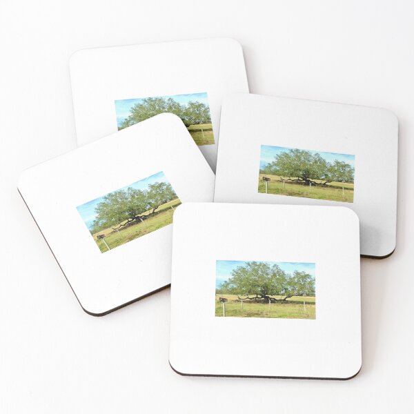 Item preview, Rural FL designed and sold by Jane Evans.