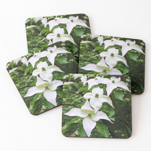 Item preview, Pointed Dogwood Blossom designed and sold by pinkal.