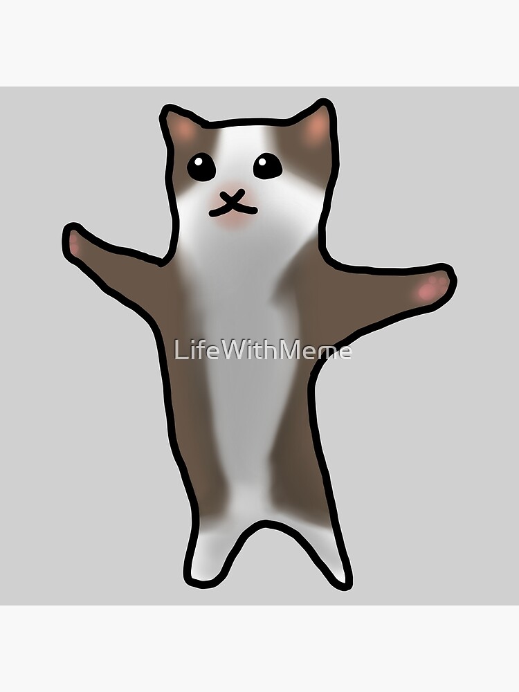 happy happy happy cat