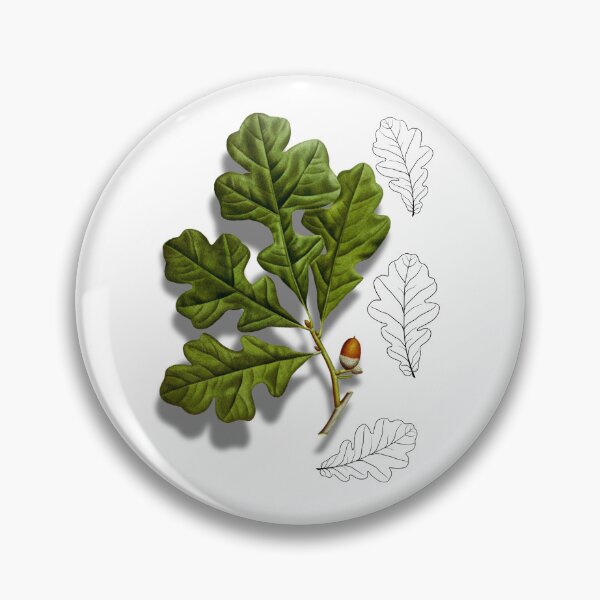Item preview, Botanical Art Oak Leaves and Acorn designed and sold by MochaMeli.