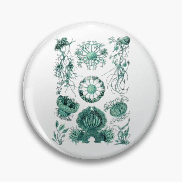 Item preview, Order Scleractinia designed and sold by PatronesKawai.