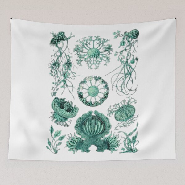 Item preview, Order Scleractinia designed and sold by PatronesKawai.