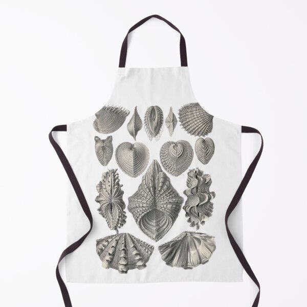 Item preview, Class Polyplacophora designed and sold by PatronesKawai.
