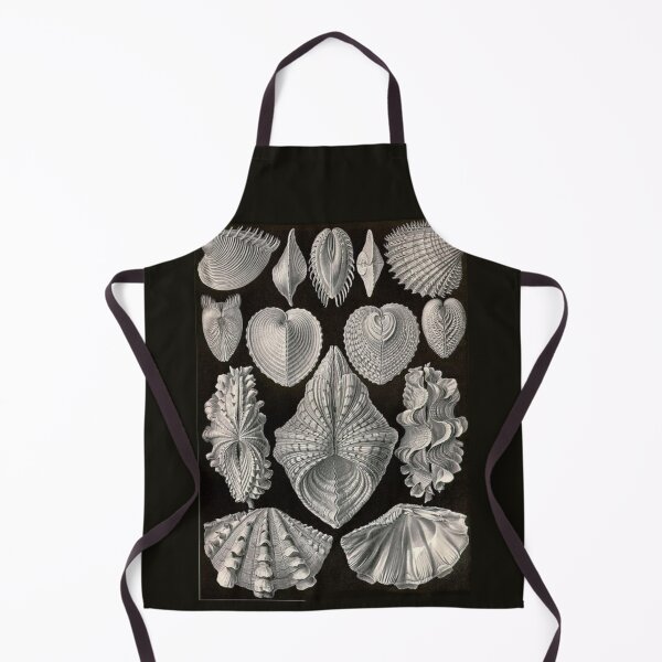 Item preview, Class Polyplacophora designed and sold by PatronesKawai.