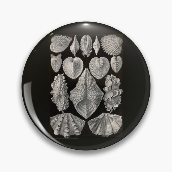 Item preview, Class Polyplacophora designed and sold by PatronesKawai.