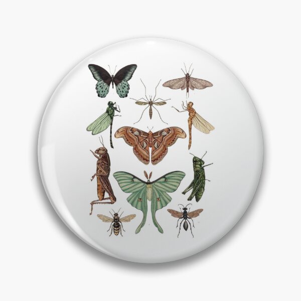 Item preview, Order Orthoptera designed and sold by PatronesKawai.