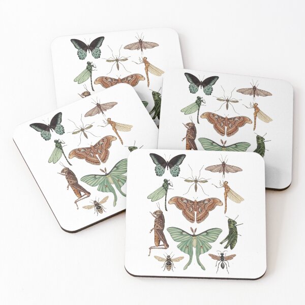 Item preview, Order Orthoptera designed and sold by PatronesKawai.