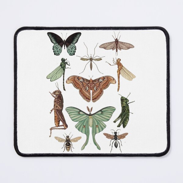 Item preview, Order Orthoptera designed and sold by PatronesKawai.