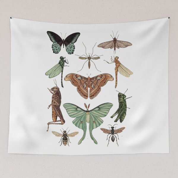 Item preview, Order Orthoptera designed and sold by PatronesKawai.