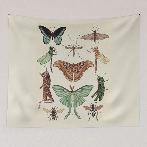Item preview, Order Orthoptera designed and sold by PatronesKawai.