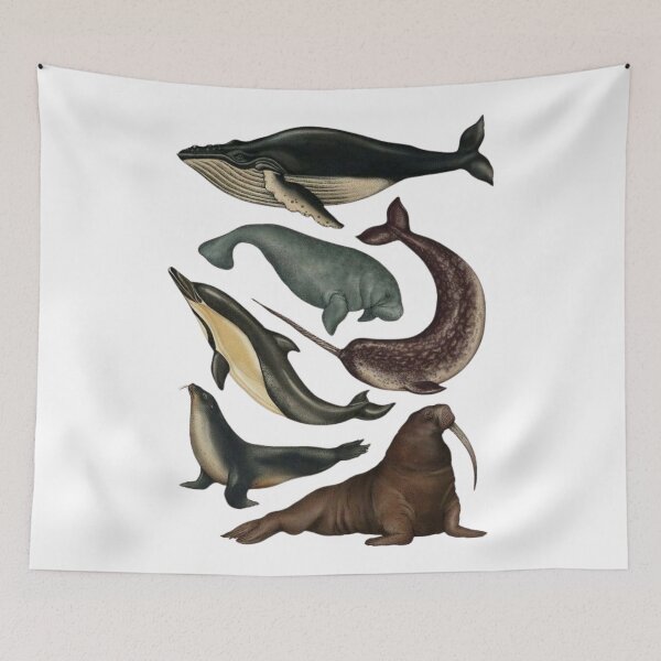 Item preview, Marine Mammals designed and sold by PatronesKawai.