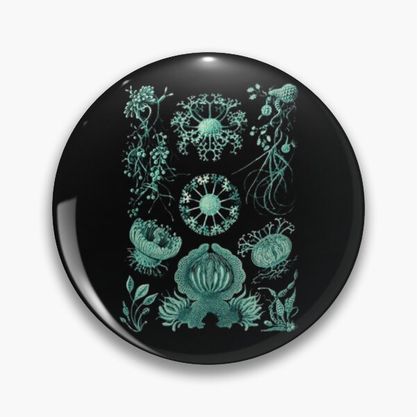 Item preview, Order Scleractinia designed and sold by PatronesKawai.