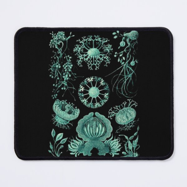 Item preview, Order Scleractinia designed and sold by PatronesKawai.