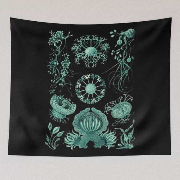 Item preview, Order Scleractinia designed and sold by PatronesKawai.