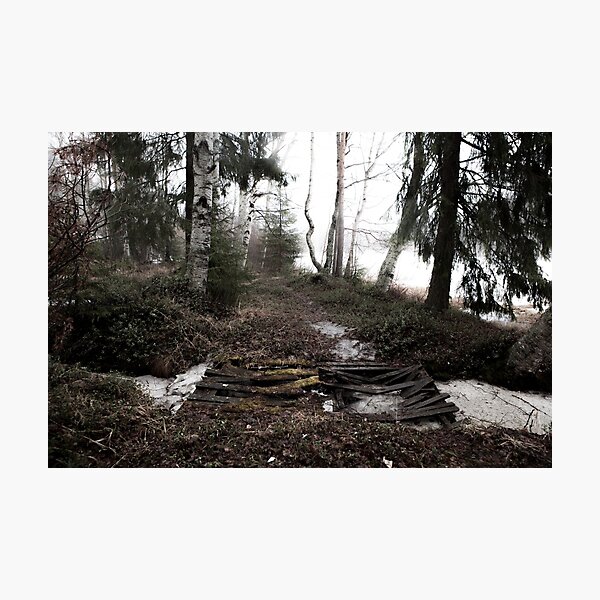 Misty Spring Morning in Finland Photographic Print