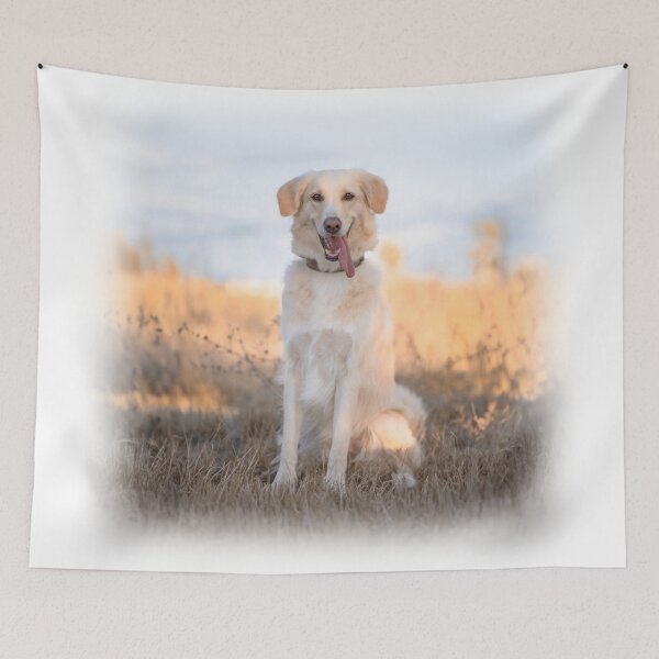 Item preview, Golden dog smiling in summer field designed and sold by claudiacontena.