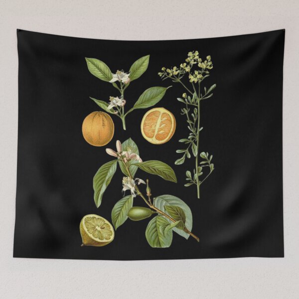 Item preview, Copy of Rosales Order designed and sold by PatronesKawai.