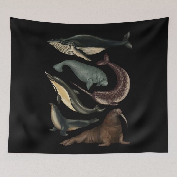 Item preview, Marine Mammals designed and sold by PatronesKawai.