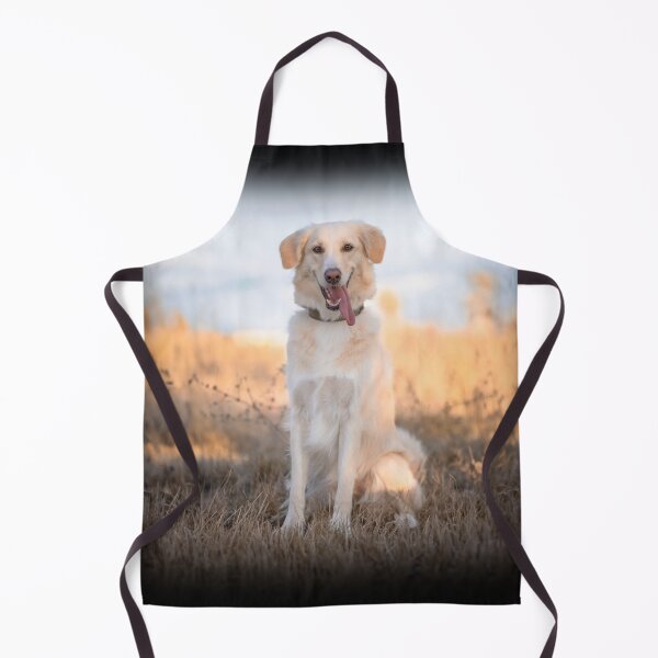 Item preview, Golden dog smiling in summer field designed and sold by claudiacontena.