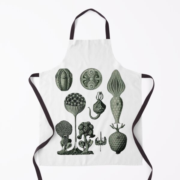 Item preview, Order Scleractinia designed and sold by PatronesKawai.
