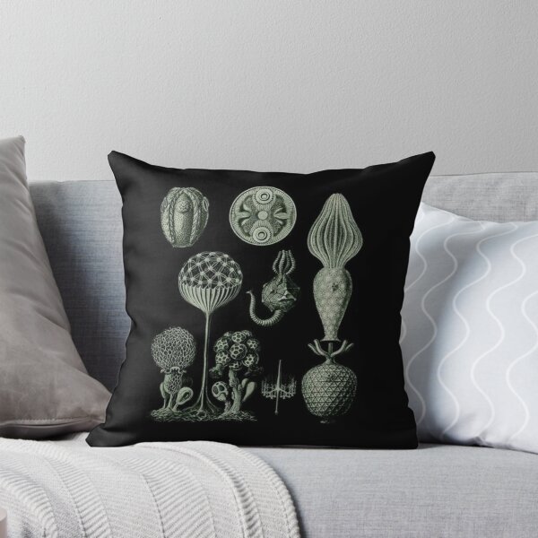 Item preview, Order Scleractinia designed and sold by PatronesKawai.