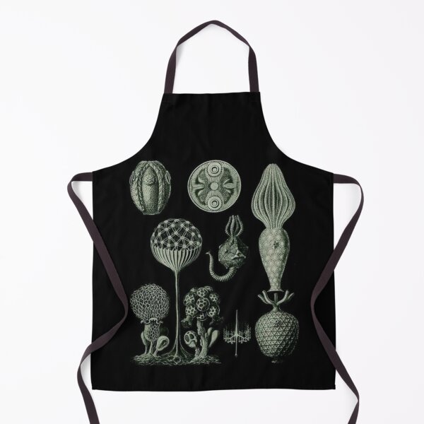 Item preview, Order Scleractinia designed and sold by PatronesKawai.