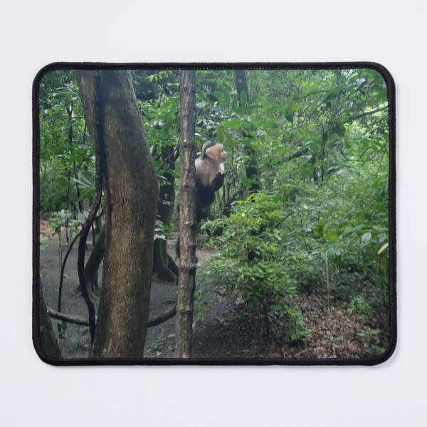 Item preview, Monkey in the tree's of Gumbalimba Park designed and sold by KirasDemon.