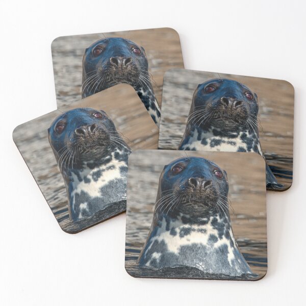 Item preview, Harbour Seal designed and sold by Tom McPherson Photography.