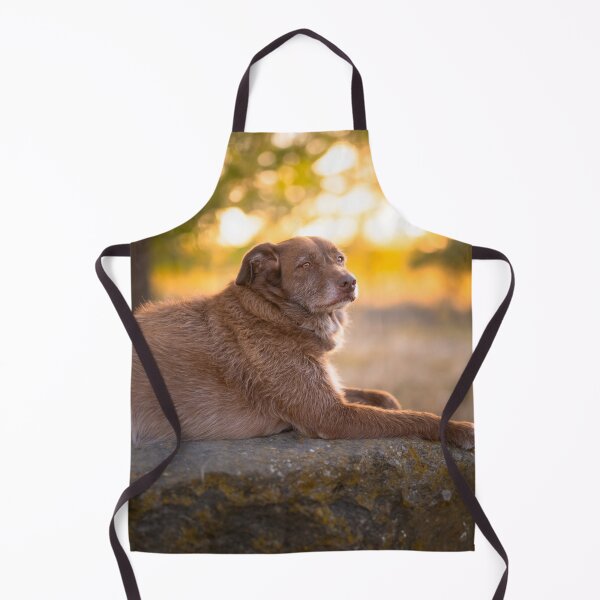 Item preview, Golden dog at sunset in summer designed and sold by claudiacontena.