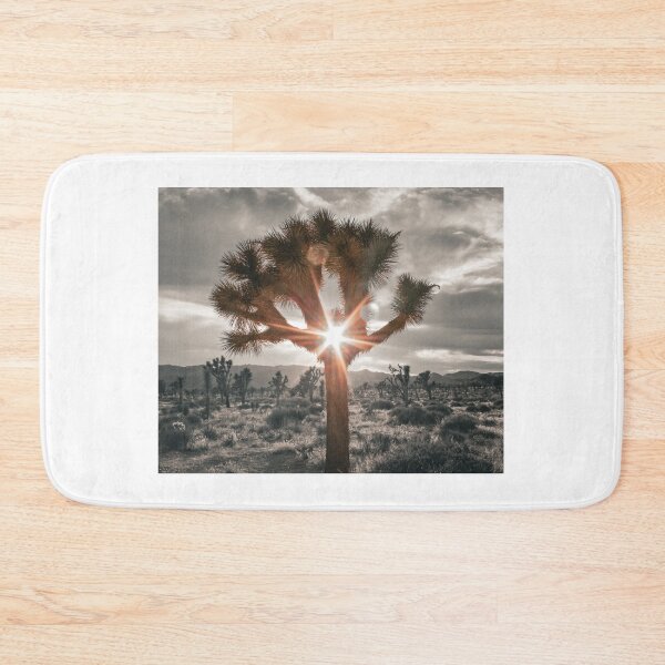 Item preview, Spotlight, Joshua Tree National Park designed and sold by Scenic West - Photos by Angel.