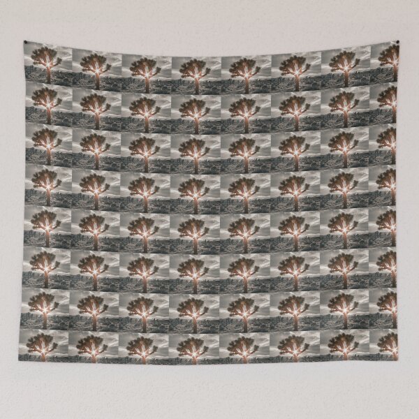 Item preview, Spotlight, Joshua Tree National Park designed and sold by Scenic West - Photos by Angel.