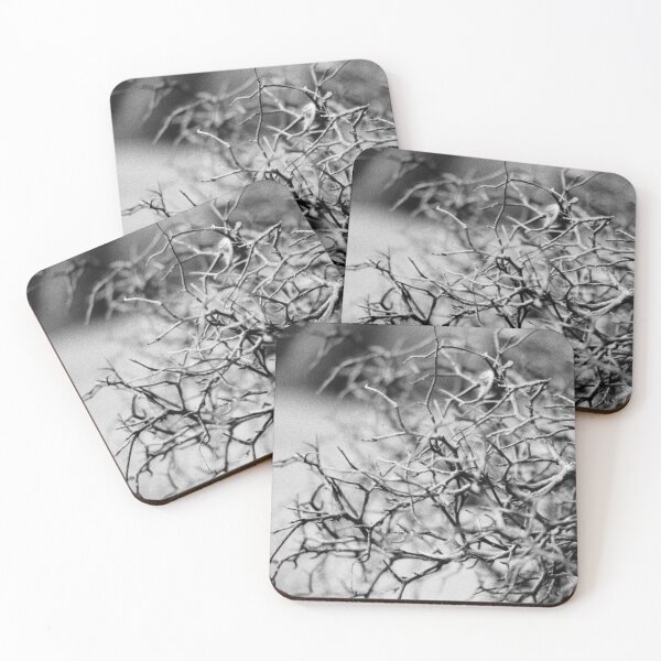 Item preview, Winter Bracken designed and sold by Phil Bothwell Photography.