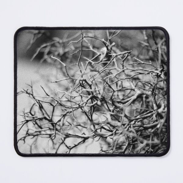 Item preview, Winter Bracken designed and sold by Phil Bothwell Photography.