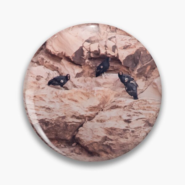Item preview, Cliffside Condors designed and sold by DWMMPhotography.