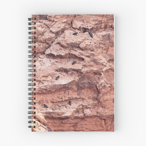 Item preview, Cliffside Condors designed and sold by DWMMPhotography.