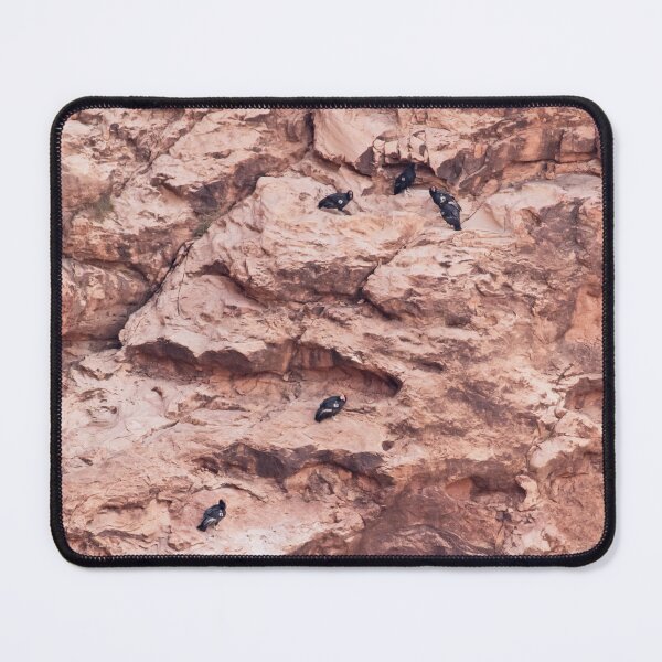 Item preview, Cliffside Condors designed and sold by DWMMPhotography.