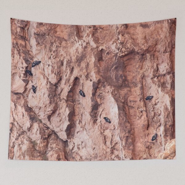 Item preview, Cliffside Condors designed and sold by DWMMPhotography.