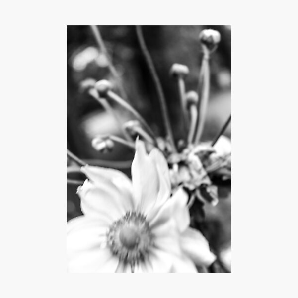 Item preview, — Windy flower — designed and sold by estellement.