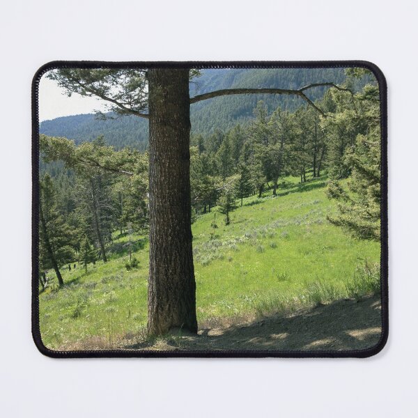 Item preview, Tranquil Pine Forest on a Sunlit Hillside designed and sold by OpheliaObjects.