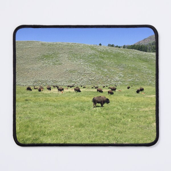 Item preview, Bison Grazing on Open Plains designed and sold by OpheliaObjects.