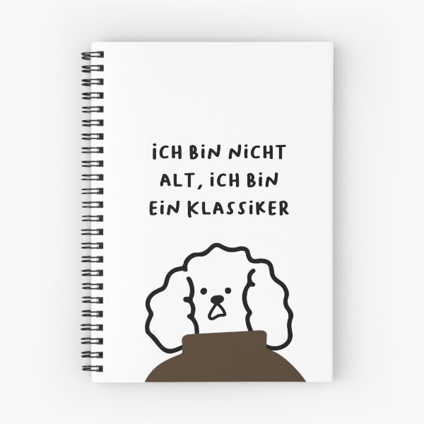 Item preview, Ich bin nicht alt, ich bin ein Klassiker | Handwritten-style Font designed and sold by RM-Journey.