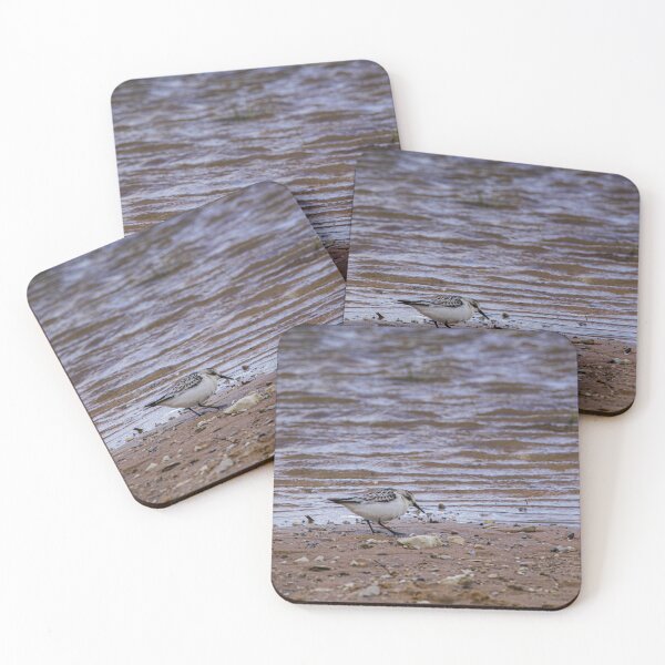 Item preview, Sandpiper designed and sold by Ostrich Nest.