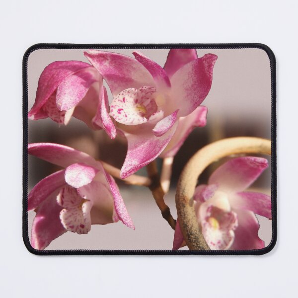 Item preview, orchid 3 designed and sold by indiafrankk.