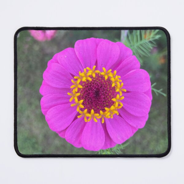 Item preview, Pretty pink petals designed and sold by Pash & Chelle Padgett.