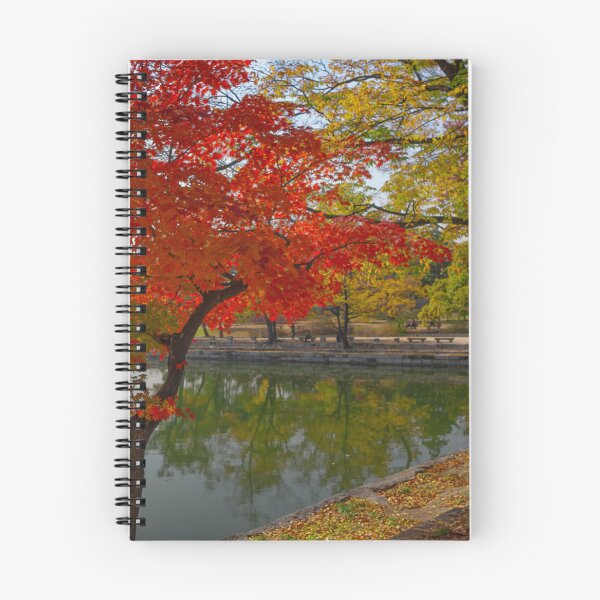 Item preview, The Autumn Beauty of Hyangwonji designed and sold by TonyCrehan.