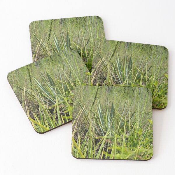 Item preview, Texas trails designed and sold by Shoppinmammaj.