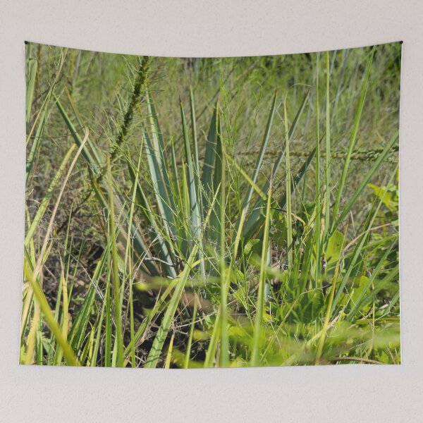 Item preview, Texas trails designed and sold by Shoppinmammaj.