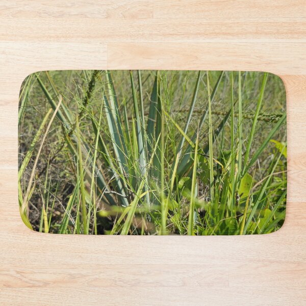 Item preview, Texas trails designed and sold by Shoppinmammaj.