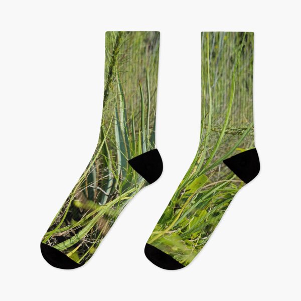 Item preview, Texas trails designed and sold by Shoppinmammaj.