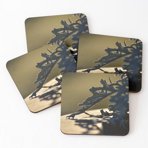 Item preview, Dusty miner plant in the frosty morning.  designed and sold by FoxGlove5.